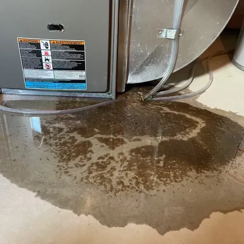 Appliance Leak Cleanup in Pennsauken, NJ